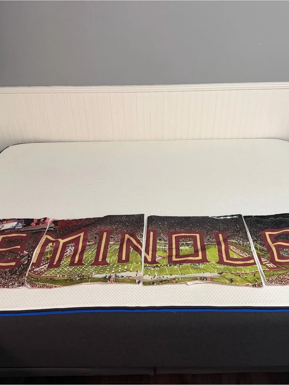 Florida State Seminoles FSU - 18x18 pillow covers